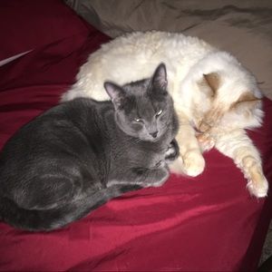 Meet your Posher, Justine